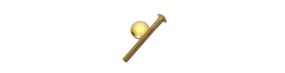 Bronze Carriage Bolts