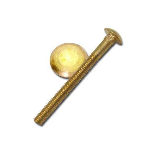 Carriage Bolt Bronze CAR031X550CB