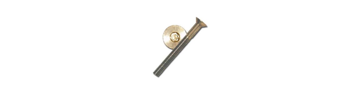 Bronze Flat Head Bolts