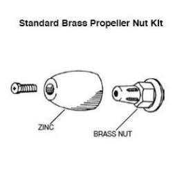 Camp Propeller Brass Shaft Nut AN
