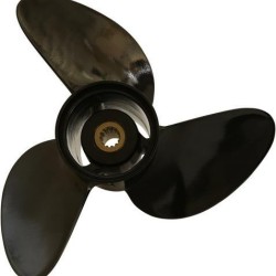 Michigan 011024 Propeller